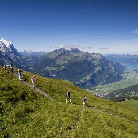 Alp N' Rose Apartment *