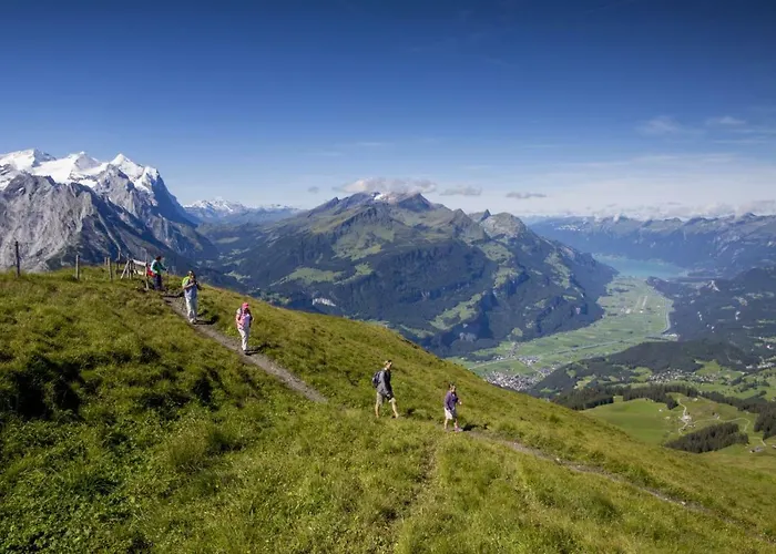 Alp N' Rose Apartment *