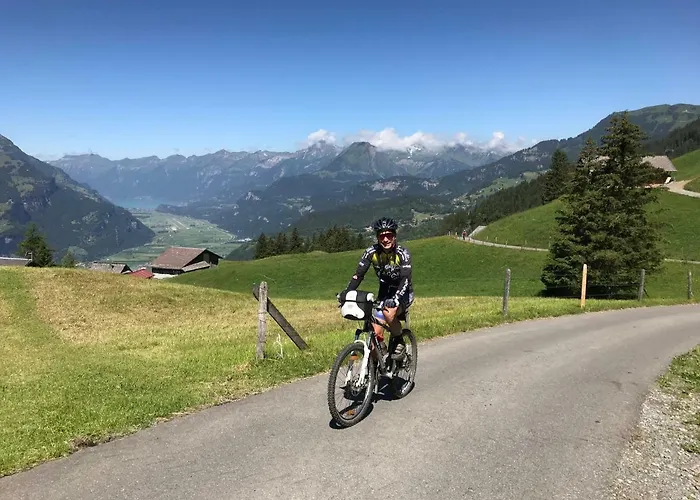 Alp N' Rose * Hasliberg